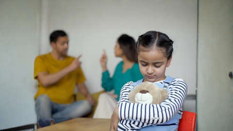 Domestic Violence - support service